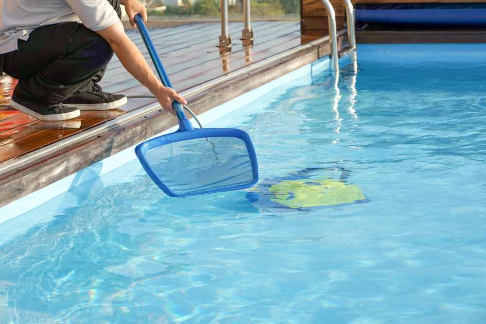 Worker Cleaning The Swimming Pool Using Net