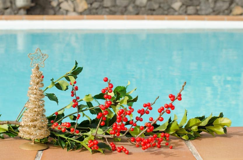 Pool With Christmas Decorations — Hi-Tech Pools & Spas In Yarawonga, NT