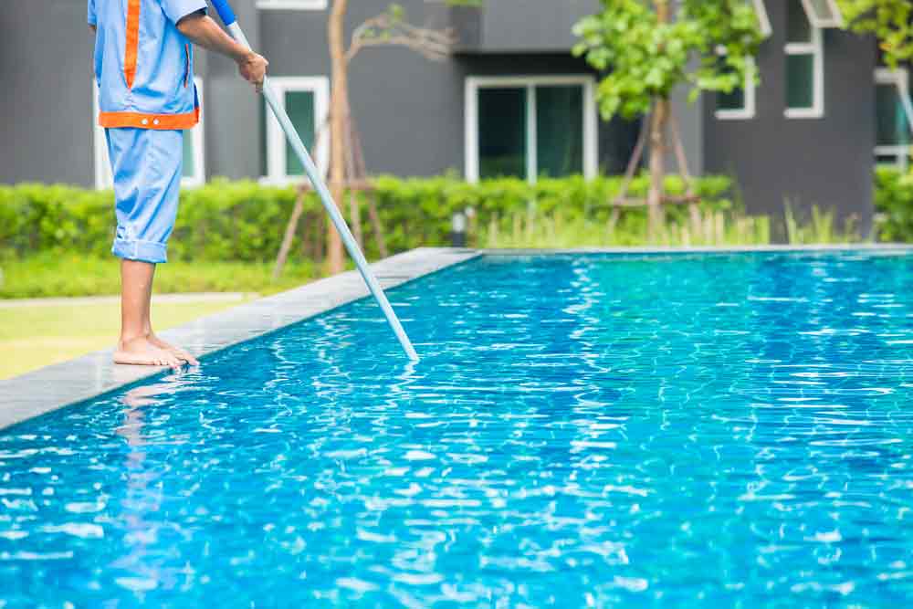 Man Cleaning The Swimming Pool