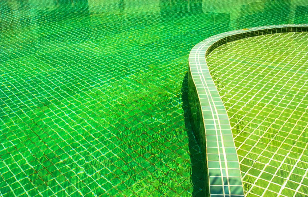 Pool with Green Water for Maintenance
