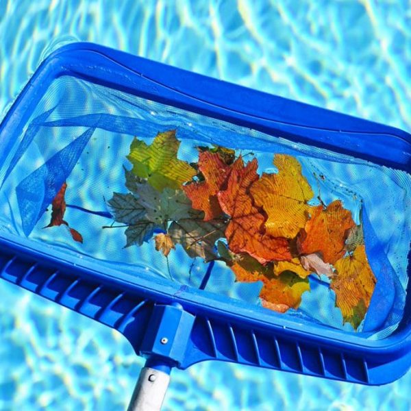 Cleaning Swimming Pool Of Fall Leaves With Blue Skinner — Hi-Tech Pools & Spas In Yarawonga, NTr